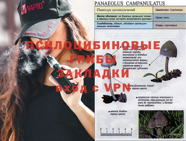 apvp Горнозаводск