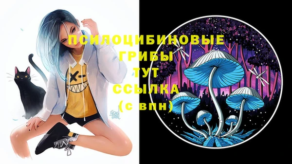 MESCALINE Горняк